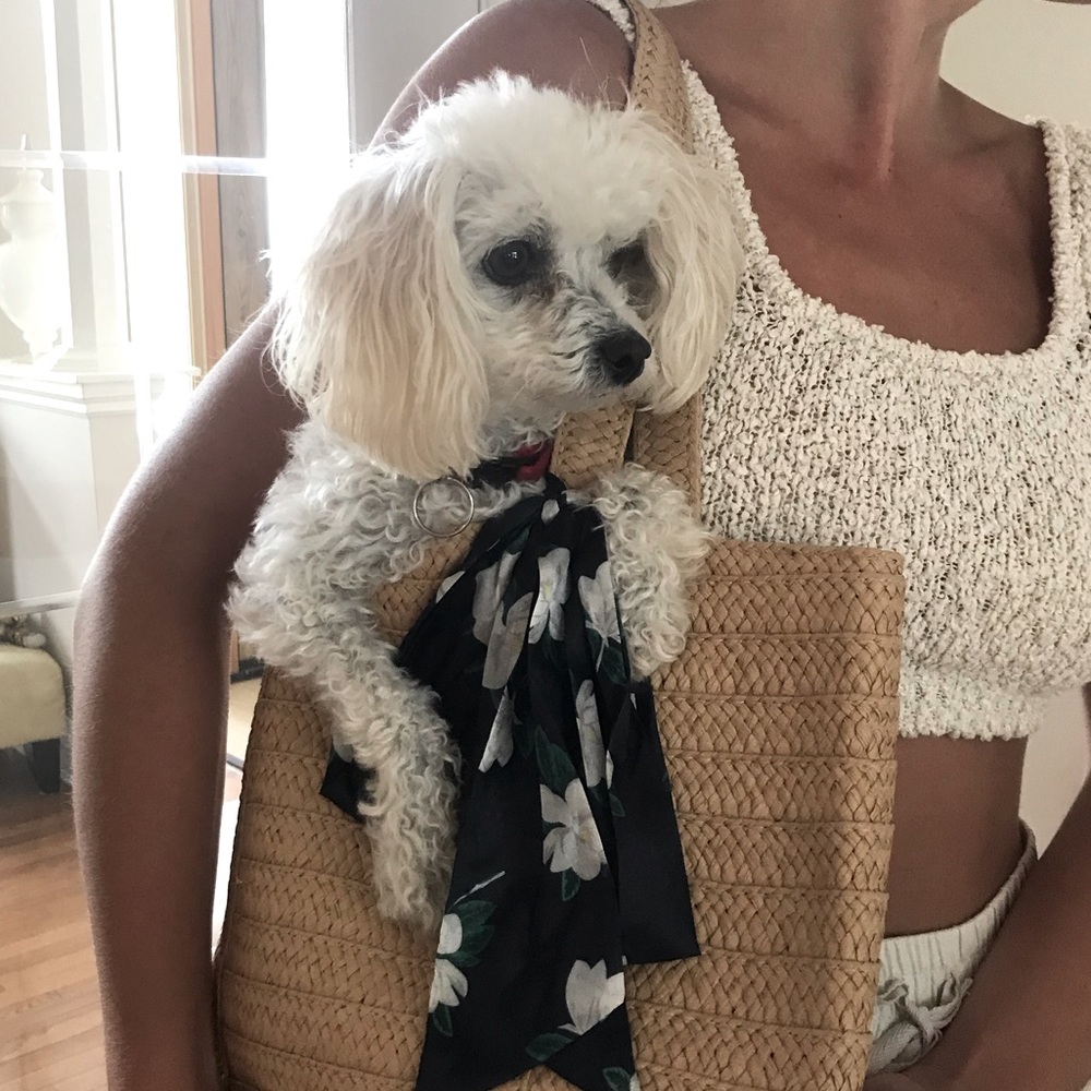Meet your Posher, Daphne